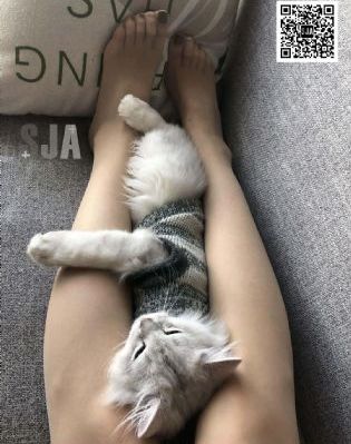 飞驰人生电影