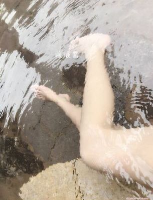 玫瑰的故事免费