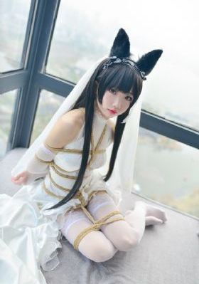 2019中文字幕在线免费好看的电影