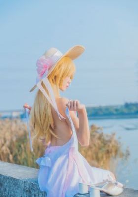 花蝴蝶高清