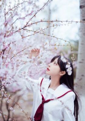 动漫艳母在线