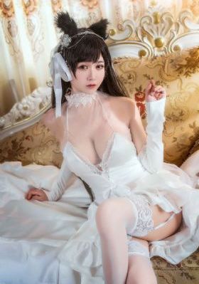 影视网站免费追剧
